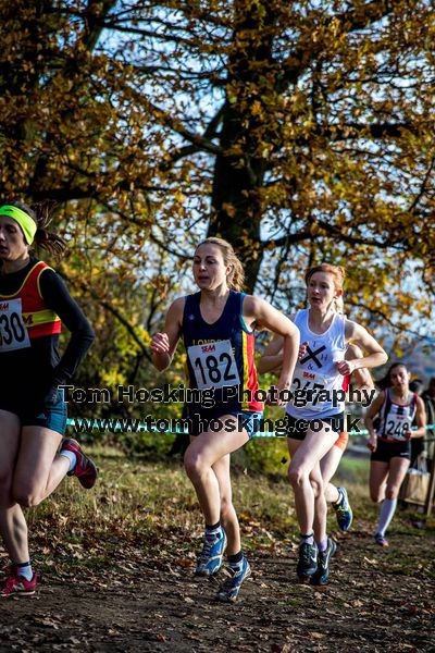 2016 London XC Champs - Women 4