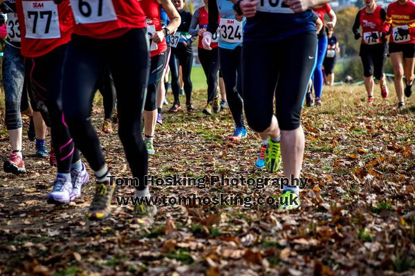 2016 London XC Champs - Women 9