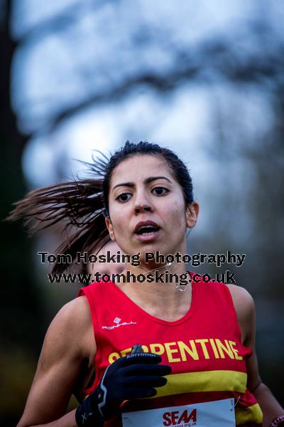 2016 London XC Champs - Women 74