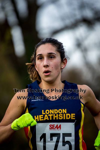 2016 London XC Champs - Women 77