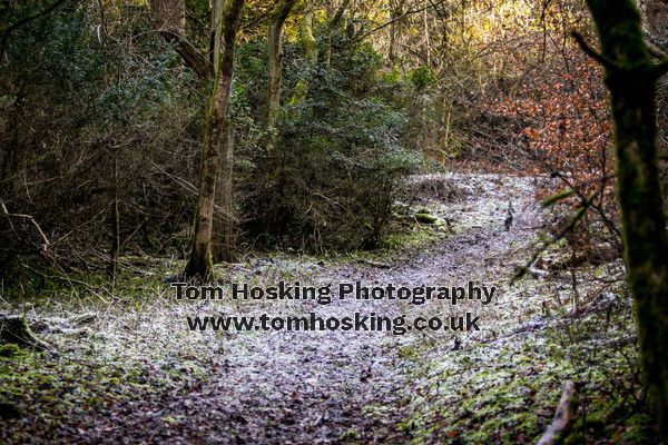 2017 Box Hill Fell Race 116