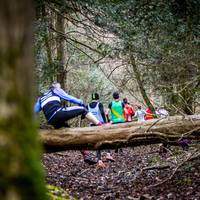 2017 Box Hill Fell Race 239