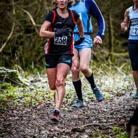 2017 Box Hill Fell Race 243