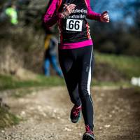 2017 Box Hill Fell Race 286