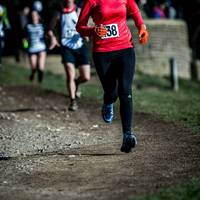 2017 Box Hill Fell Race 302