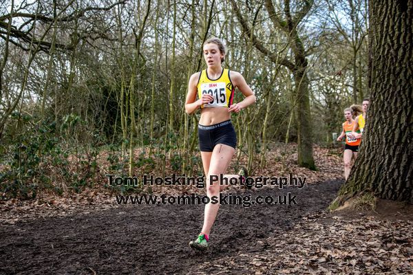 2017 Southern XC Champs - Juniors 2