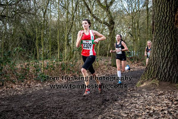 2017 Southern XC Champs - Juniors 8