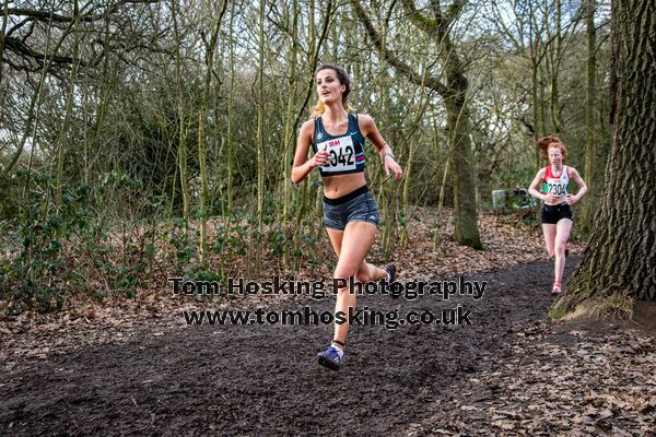 2017 Southern XC Champs - Juniors 10