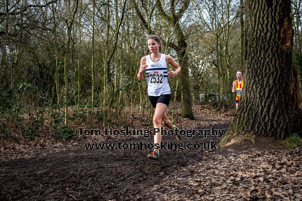 2017 Southern XC Champs - Juniors 20