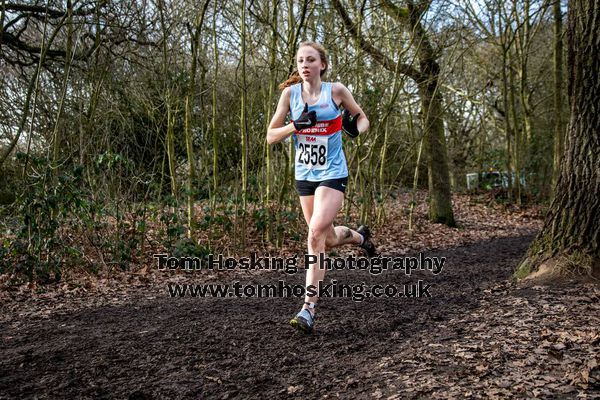 2017 Southern XC Champs - Juniors 26