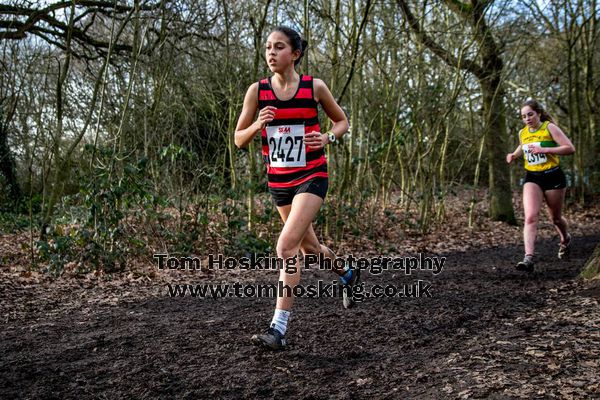 2017 Southern XC Champs - Juniors 27