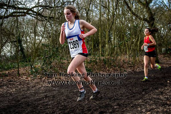 2017 Southern XC Champs - Juniors 30