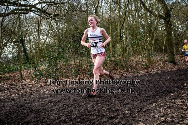 2017 Southern XC Champs - Juniors 34