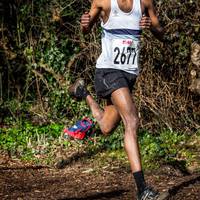 2017 Southern XC Champs - Juniors 92