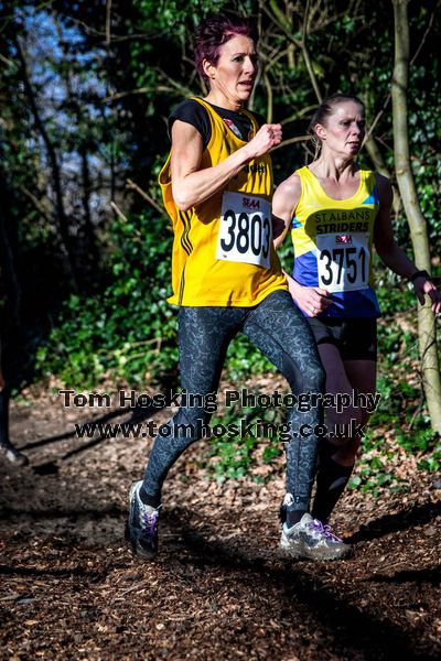 2017 Southern XC Champs - Women 60