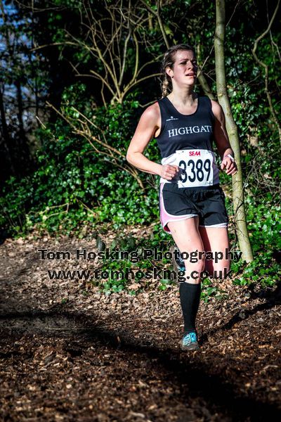 2017 Southern XC Champs - Women 80