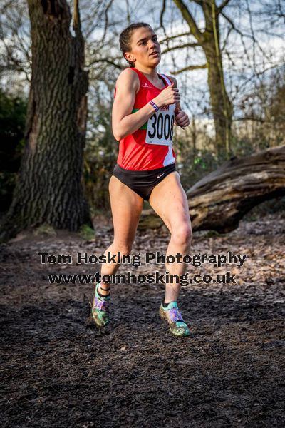 2017 Southern XC Champs - Women 137