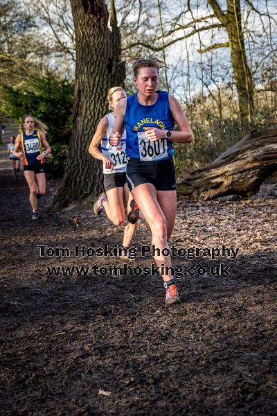 2017 Southern XC Champs - Women 152