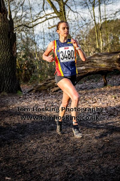 2017 Southern XC Champs - Women 154