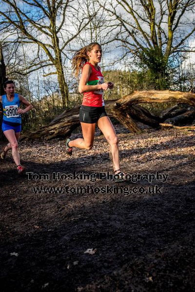 2017 Southern XC Champs - Women 170