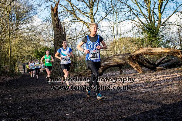 2017 Southern XC Champs - Women 231