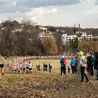 2017 Southern XC Champs - Men 1