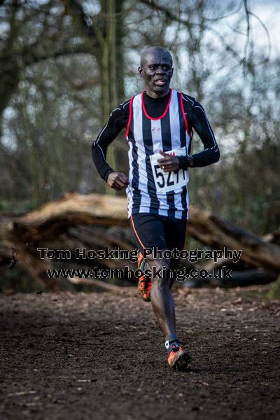 2017 Southern XC Champs - Men 175