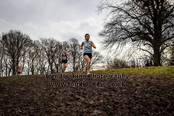 2017 Southern XC Champs - Juniors 158