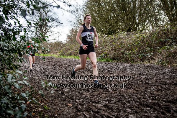 2017 Southern XC Champs - Juniors 176