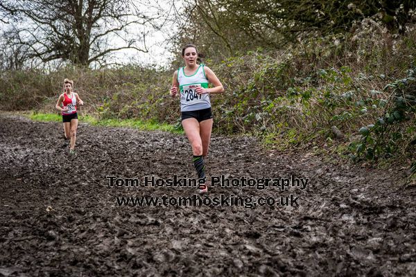 2017 Southern XC Champs - Juniors 179