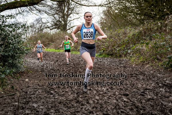 2017 Southern XC Champs - Juniors 180