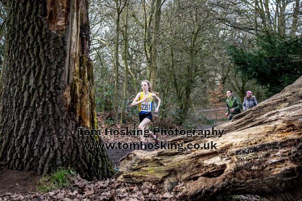 2017 Southern XC Champs - Juniors 184