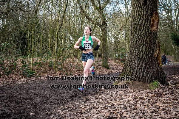 2017 Southern XC Champs - Juniors 195