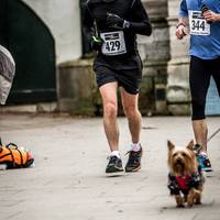 2017 Richmond Old Deer Park Half Marathon 242