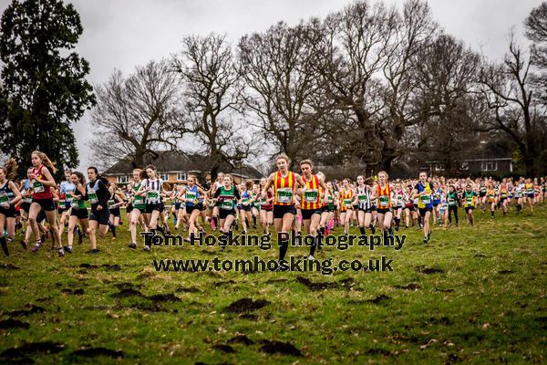 2017 National XC Champs 12