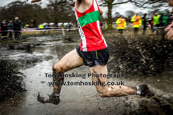 2017 National XC Champs 33