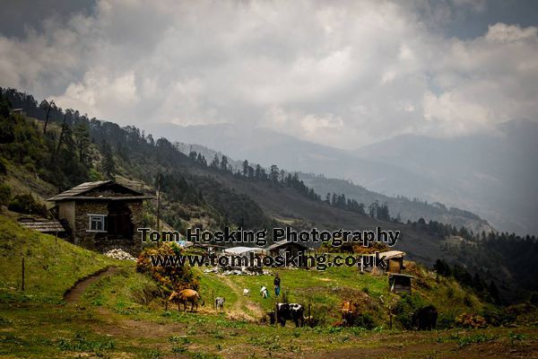 2017 Nepal 15