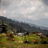 2017 Nepal 15