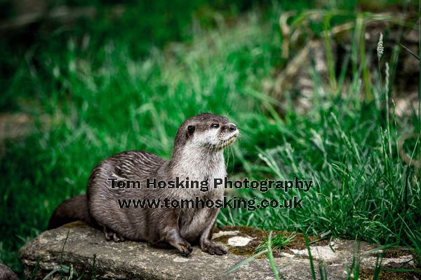 2017 ZSL Whipsnade Workshop 1