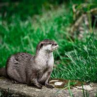 2017 ZSL Whipsnade Workshop 1