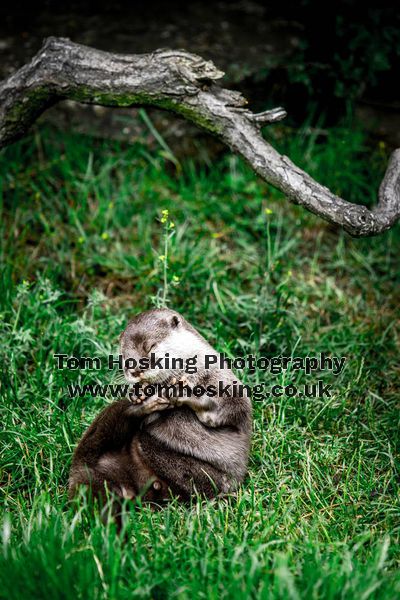 2017 ZSL Whipsnade Workshop 4