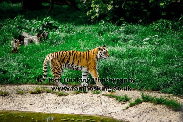 2017 ZSL Whipsnade Workshop 16