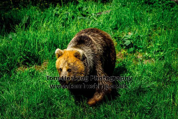 2017 ZSL Whipsnade Workshop 34