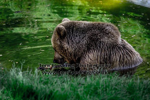 2017 ZSL Whipsnade Workshop 38