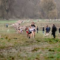 2017 London XC Champs 6