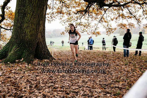 2017 London XC Champs 23