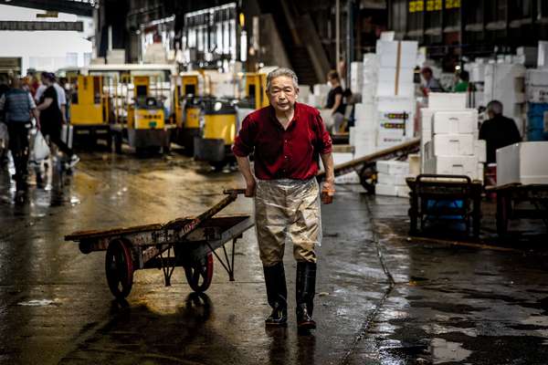 Tsukiji Fish Market, Tokyo