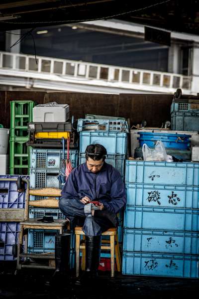 Tsukiji Fish Market, Tokyo