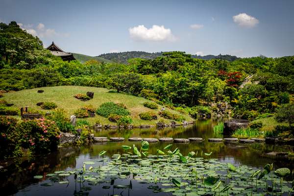 A garden in Kyoto