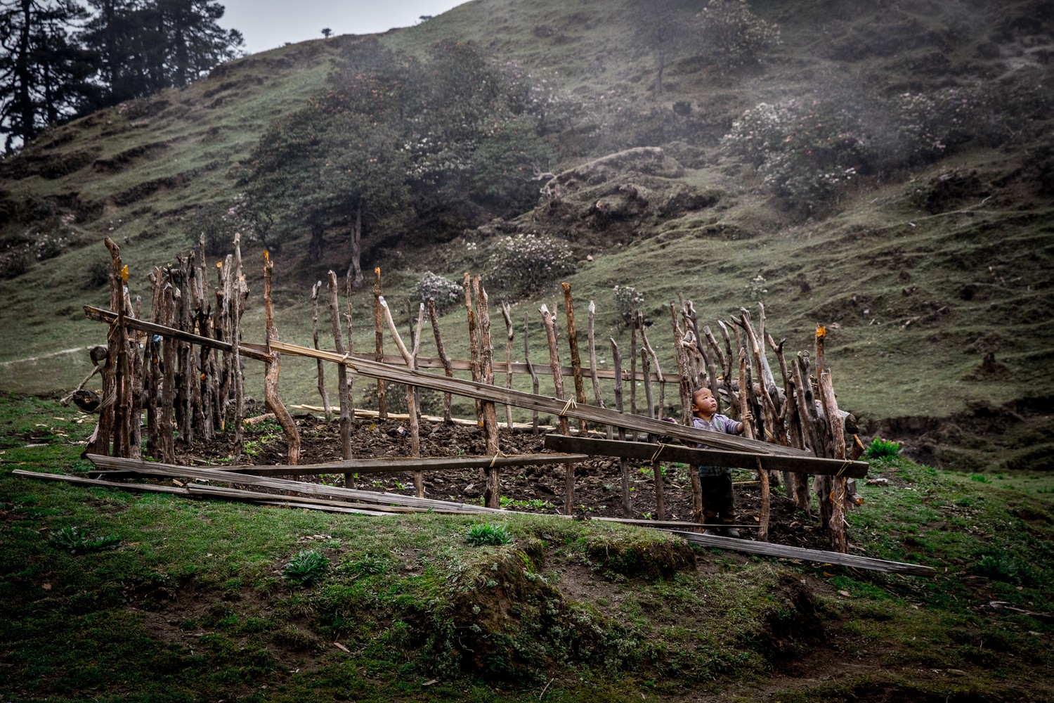 A child plays in a goat pen, Nepal